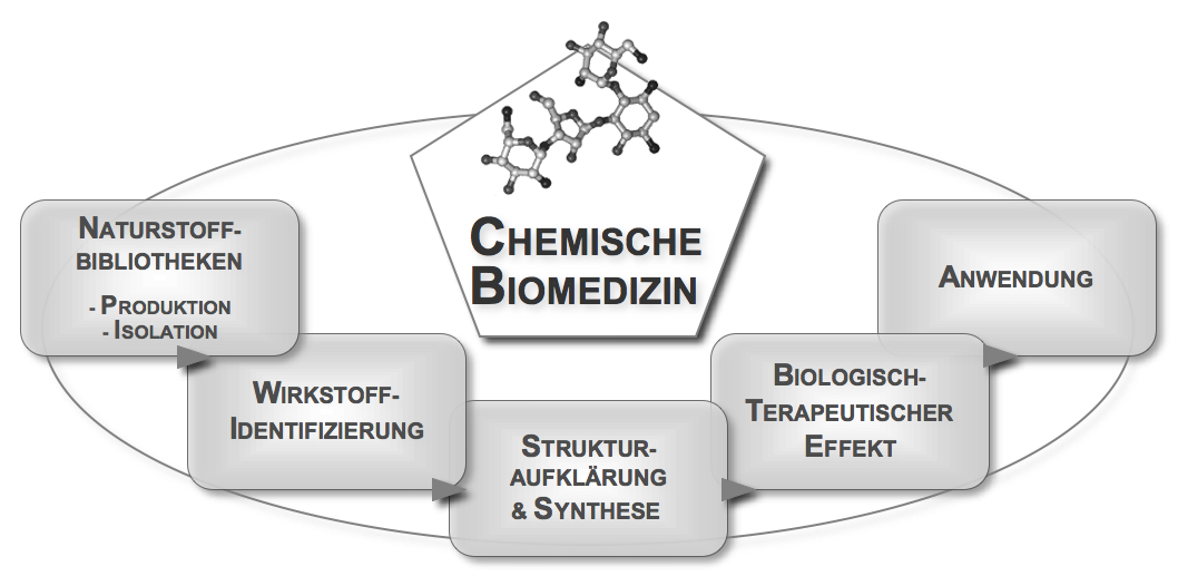 Interdisziplinrer Mehrwert