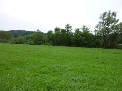 Barfusspfad 2010