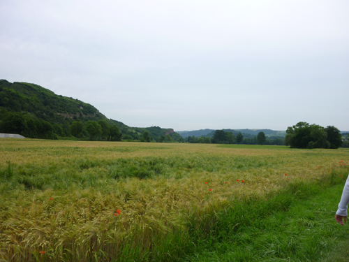 Barfusspfad 2010