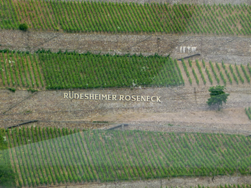 Das Rdesheimer Roseneck...