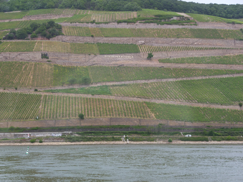 ... am Rhein