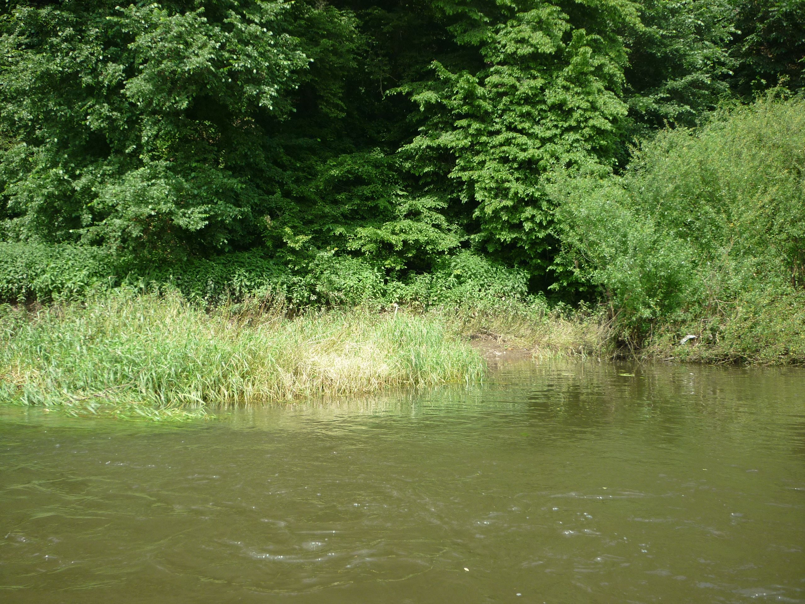 Kanutour 2013