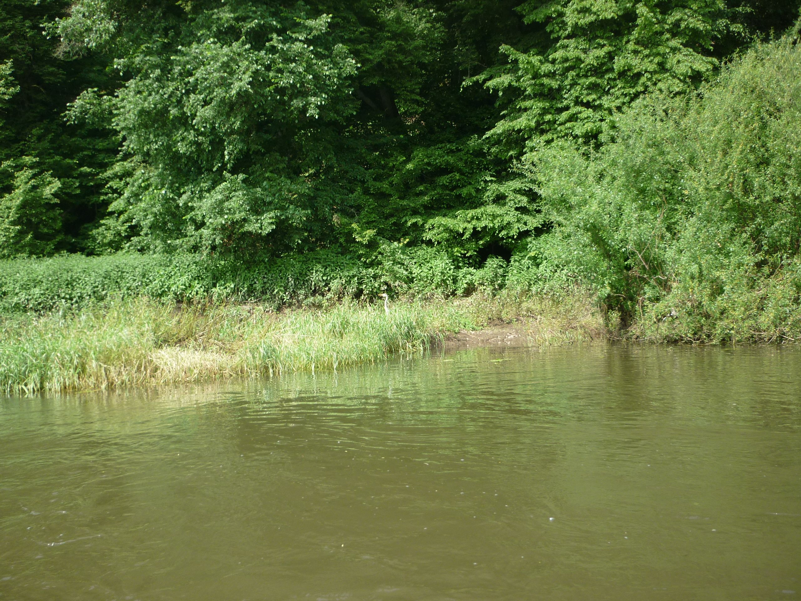 Kanutour 2013