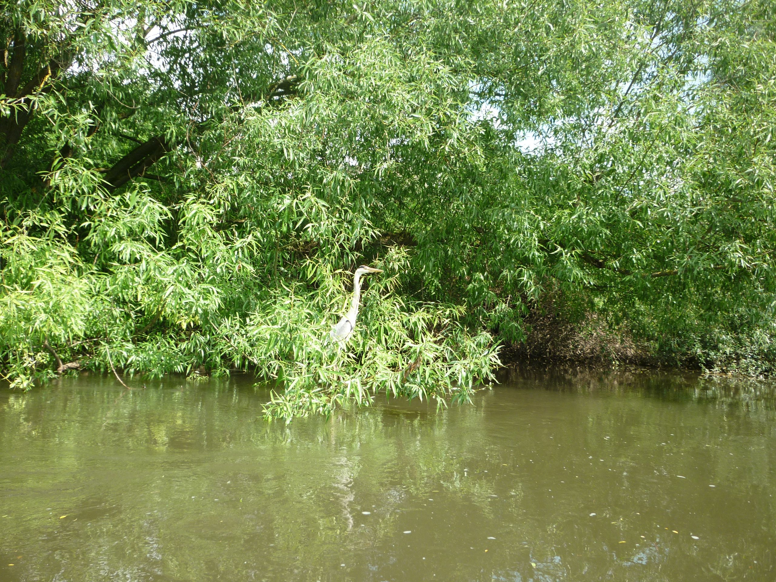 Kanutour 2013