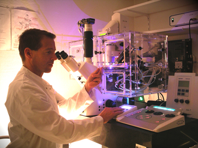 Prof. Stauber