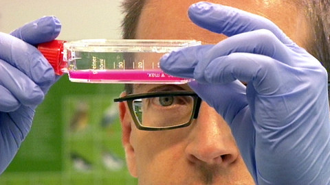 Prof. Stauber von der Universittsmedizin Mainz