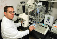Prof. Dr. Roland Stauber